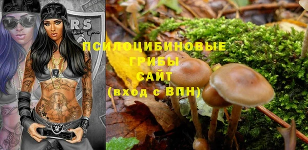 бошки Россошь