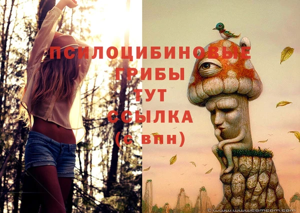 марки lsd Алексеевка
