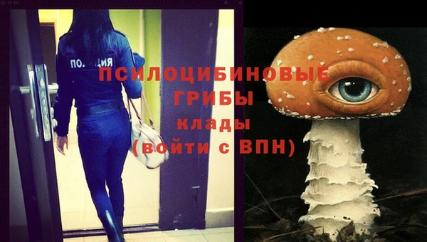 герыч Алзамай
